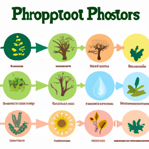 The Fascinating World of Autotrophs: Understanding Self-Sufficient Organisms