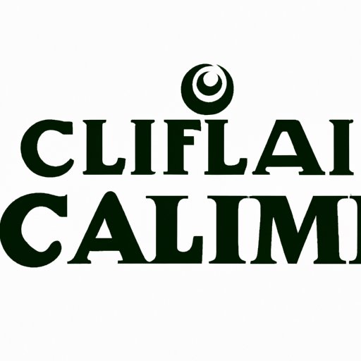 Understanding the Muslim Leader: What is a Calif?