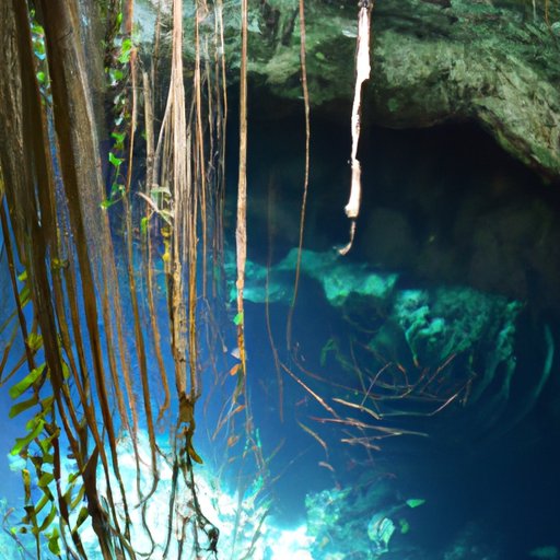 A Comprehensive Guide to Cenotes: Exploring Mexico’s Natural Wonders