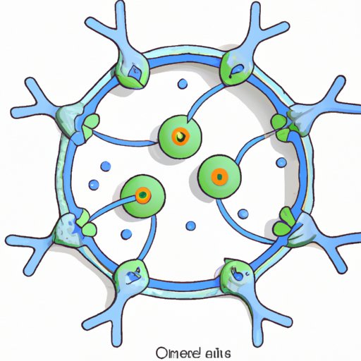 Understanding Centrioles: A Crucial Element of Cell Biology