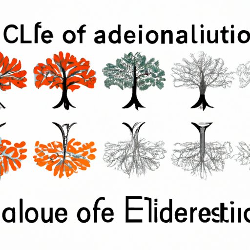 The Complete Guide to Clades: Understanding Evolutionary Relationships