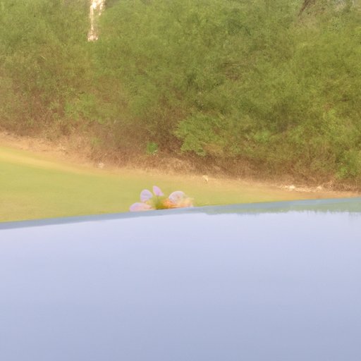 What is a Dink? Exploring the Meaning, Usage, and Significance of the Term