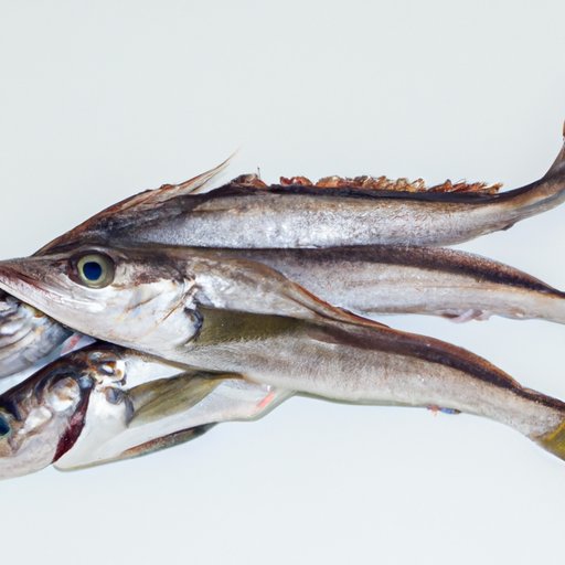 Finfish: Hook, Line, and Sinker