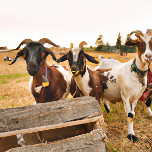 A Comprehensive Guide to Understanding Goats: What Makes them Unique