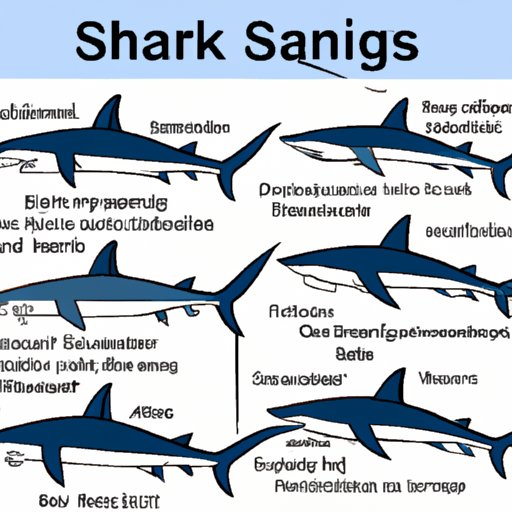 The Fascinating World of Shark Terminology: What Do You Call a Group of Sharks?