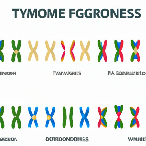 The Ultimate Guide to Homologous Chromosomes