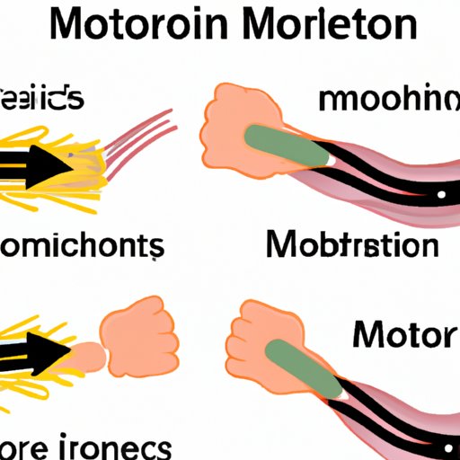 Understanding Motor Units: The Basic Building Blocks of Movement