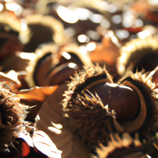 The Meaningful Connection: Discovering the Importance of Nature