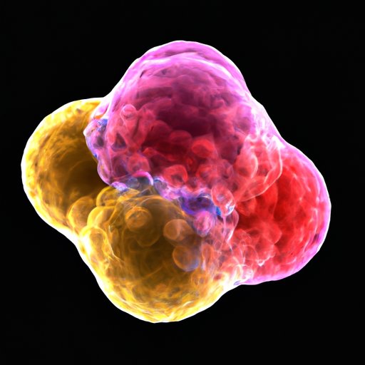 The Nucleolus Function: Unraveling its Crucial Role in Protein Synthesis, Genetic Expression, and More