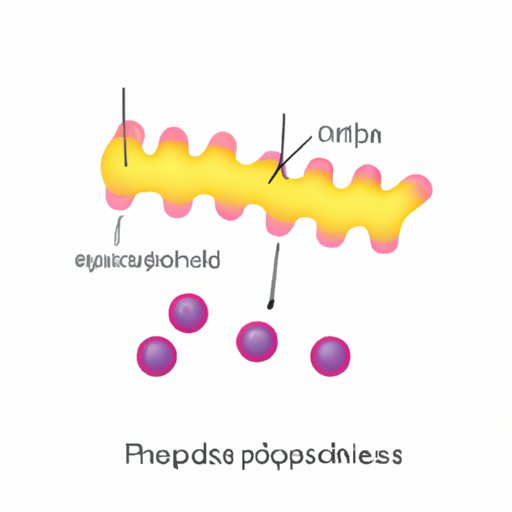 Exploring Phospholipids: Their Composition, Structure, and Role in Human Health