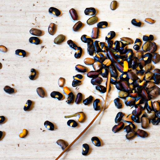 What is a Seed? Understanding the Foundation of Plant Life