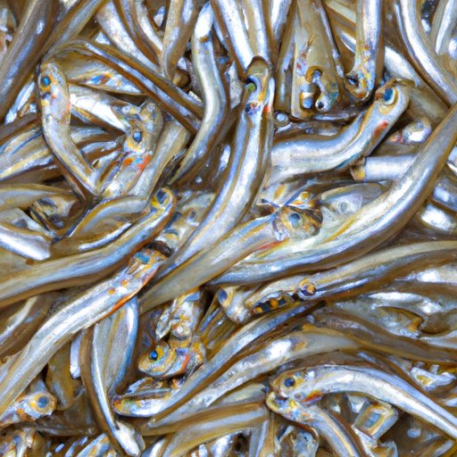 What is a Smelt: Characteristics, History, and Culinary Uses