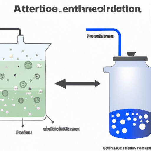 Anaerobic Respiration: Understanding the Process and its Importance