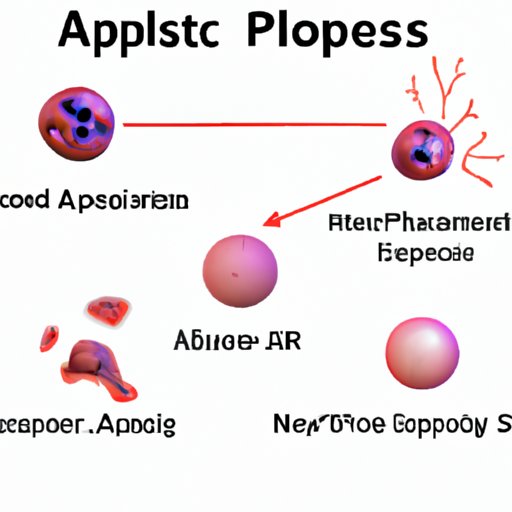 A Beginner’s Guide to Understanding APOP: Definition, Applications, and Implications