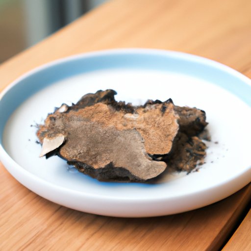 A Beginner’s Guide to Chaga Mushroom: History, Health Benefits, and Sustainable Harvesting