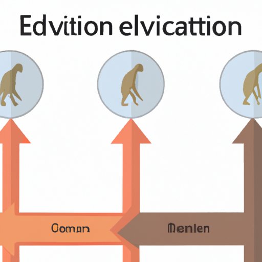 Exploring Directional Selection in Evolution: Understanding, Examples, and Implications
