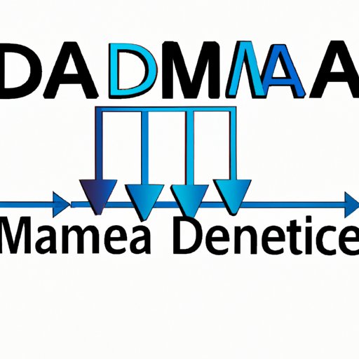 What is DMA? A Comprehensive Guide to Direct Memory Access