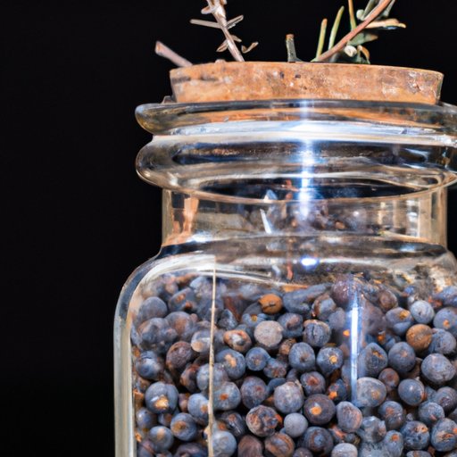 Gin Ingredients: A Comprehensive Guide to What Makes Gin