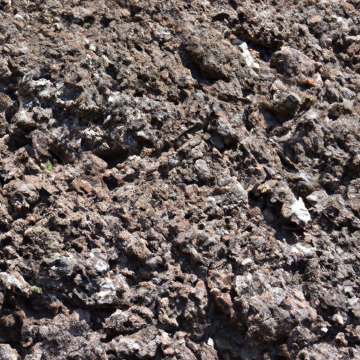 What is Loam? The Benefits, Identification and Uses of Loam Soil