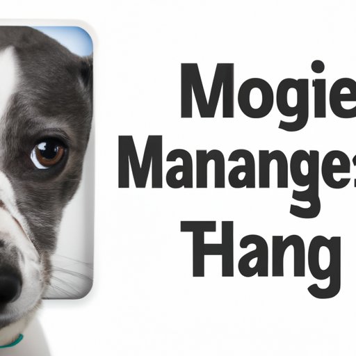 What is Mange in Dogs: Understanding, Managing, and Treating This Common Skin Condition
