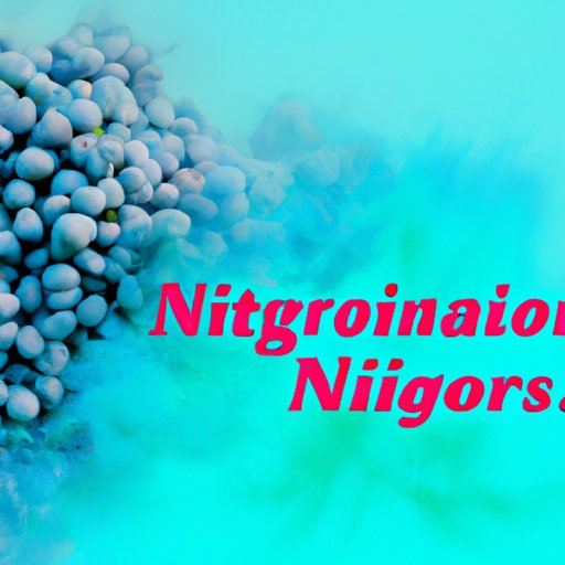 The Many Uses of Nitrogen: Exploring Its Importance in Agriculture, Industry, and Beyond