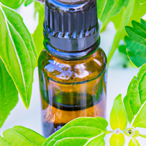 Exploring the World of Patchouli: Benefits, Uses, and More