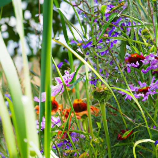The Beauty and Benefits of Perennial Plants: A Complete Guide