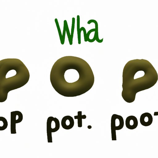 The Science Behind Poo: A Comprehensive Guide to Bowel Movements
