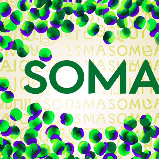 The Ultimate Guide to Understanding Soma: Uses, Side Effects and Safety