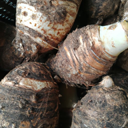 Taro: A Root Vegetable Packed with Nutritional Value and Culinary Potential