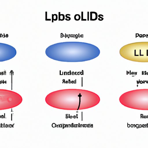 The Comprehensive Guide to Understanding the Function of Lipids in the Human Body: Importance, Types, and Health Implications