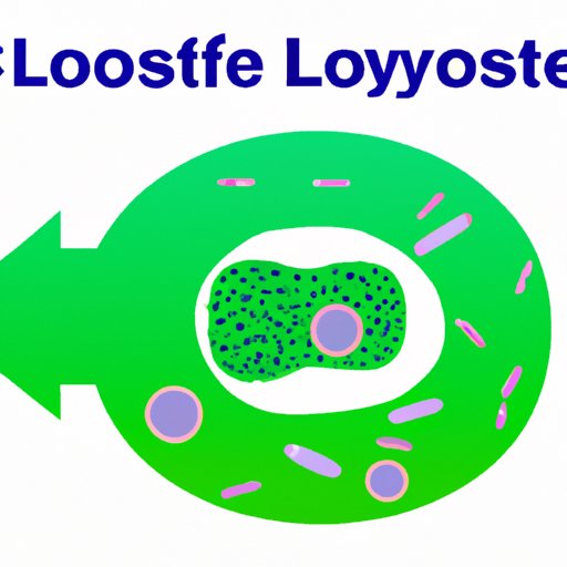 Lysosomes: The Ultimate Protectors of Your Cell’s Integrity and Health