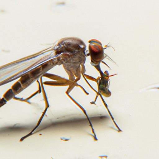 The Hymen: Myths, Function, and Societal Impacts on Women’s Bodies