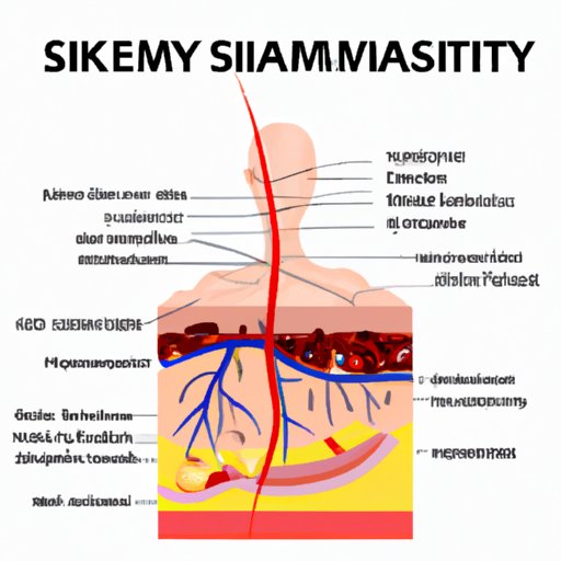 Understanding the Integumentary System: The Biology of Skin and Its Importance