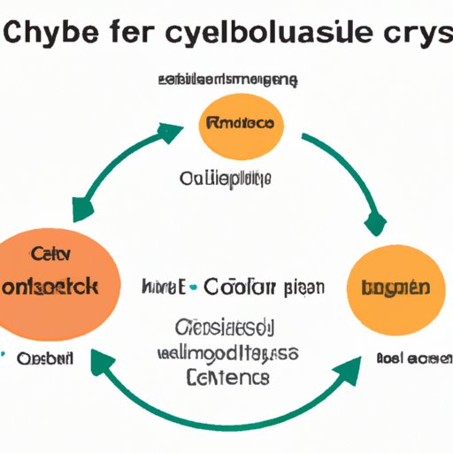 Understanding the Krebs Cycle: A Beginner’s Guide to Cellular Respiration and Beyond
