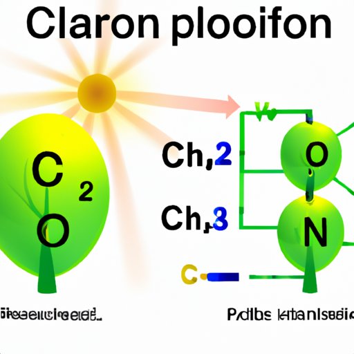 The Interconnected Processes of Photosynthesis and Cellular Respiration: Exploring the Essential Relationship