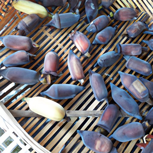 THOT: What it is and its Impact on Society