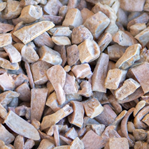 What is Vermiculite? A Comprehensive Guide to this Versatile Mineral