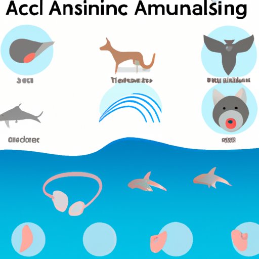 The Animal with the Best Hearing Ability: An Exploration