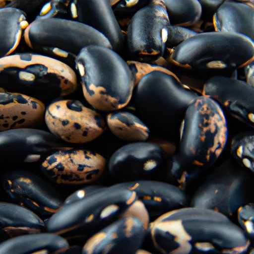 Which Are Healthier: Pinto or Black Beans? The Nutritional, Health, and Environmental Benefits of Beans