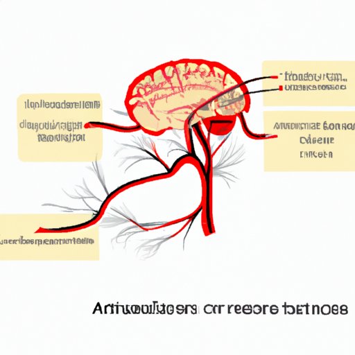 The Six Crucial Arteries That Supply Blood to the Brain: A Comprehensive Guide