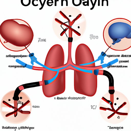 Which Artery Carries Deoxygenated Blood: Understanding the Deoxygenated Pathway and the Importance of the Deoxygenated Artery