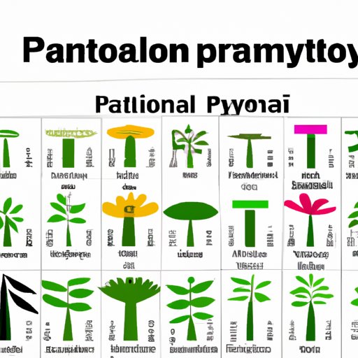 Exploring Plant Classification: Understanding Taxonomy, Nomenclature and Categories