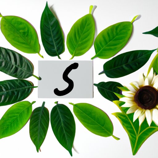 Subsidies: Understanding Their Purpose, Benefits, and Impact