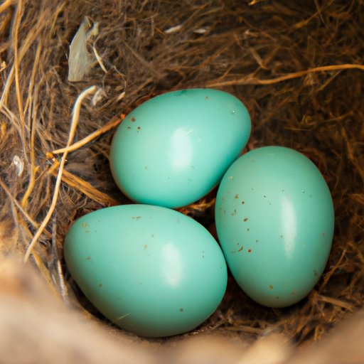 The Ultimate Guide to Birds That Lay Blue Eggs: Characteristics, Science, Culture, and Conservation