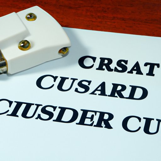 Which Branch Punishes Pirates? A Detailed Look at the Legal Process and Strategies