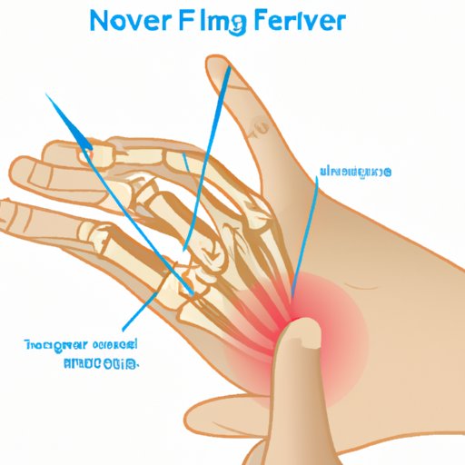 Which Cervical Nerves Affect Which Fingers: Your Comprehensive Guide
