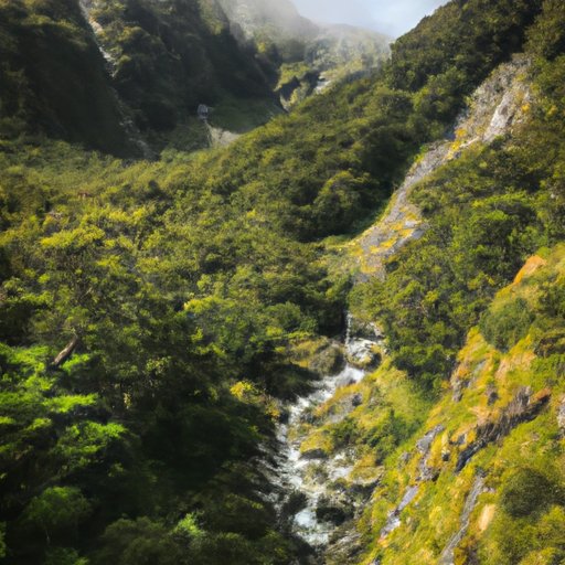 A Traveler’s Guide to the Iconic Milford Track in New Zealand