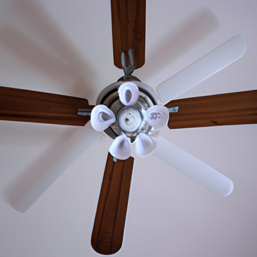 Which Direction Should Ceiling Fan Go in Summer? Clockwise or Counter-clockwise