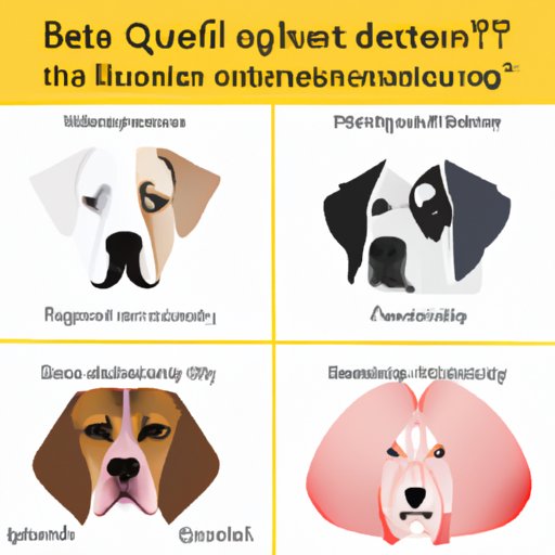Which Dog Breed Is Right For Me Quiz: Finding Your Perfect Canine Companion